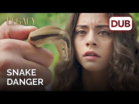 Yaman salva a Seher del peligro. | Legacy en Español